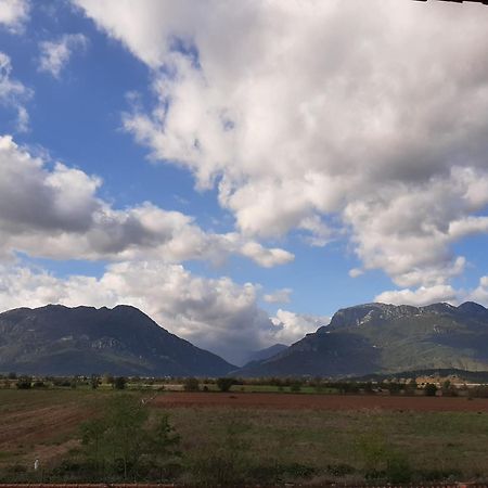 Villa Αρχοντικό Παπανικολάου Ligaria  Esterno foto