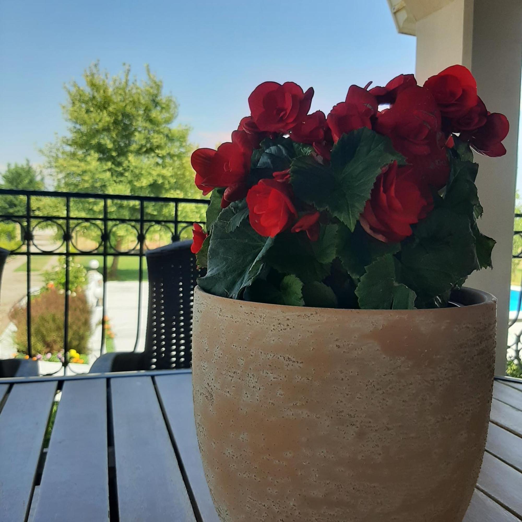 Villa Αρχοντικό Παπανικολάου Ligaria  Esterno foto