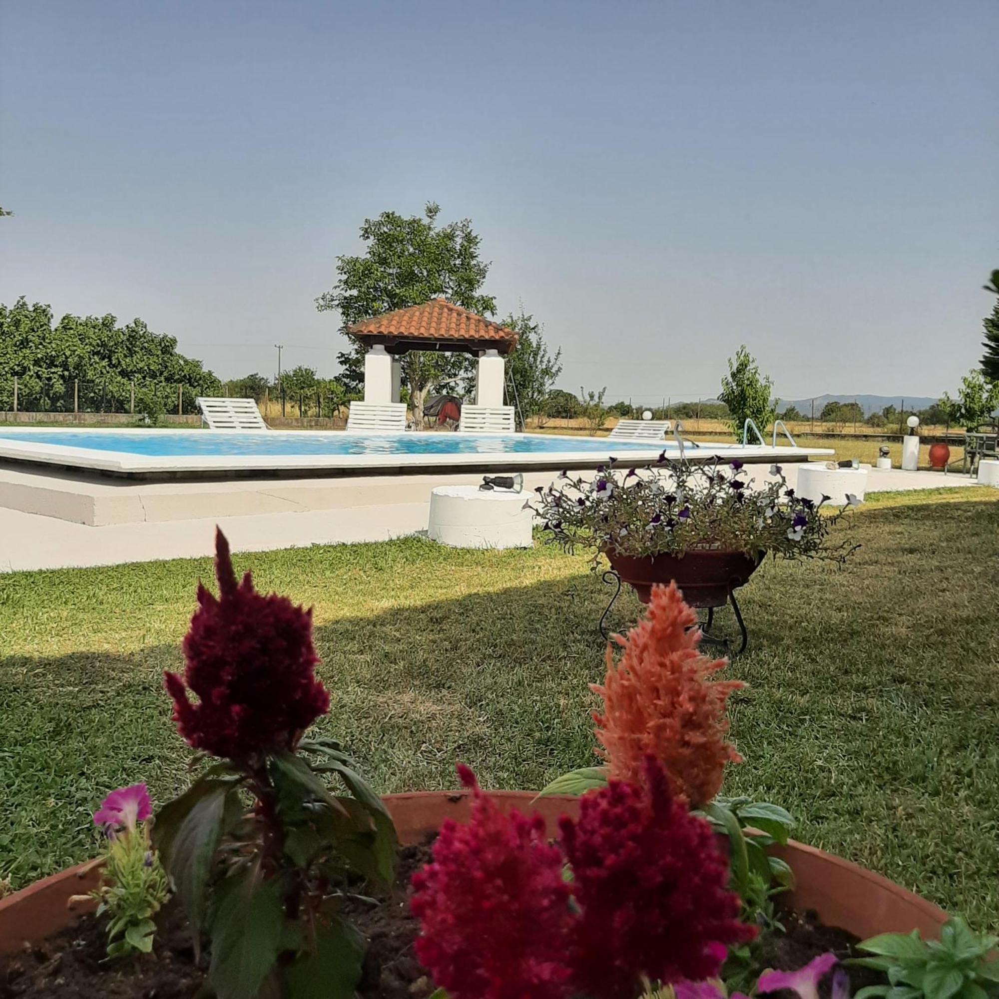 Villa Αρχοντικό Παπανικολάου Ligaria  Esterno foto